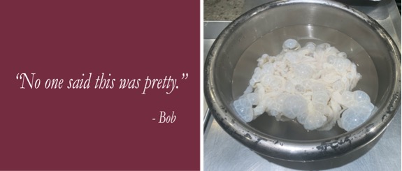 A bowl of ice cream
Description automatically generated with low confidence